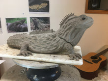 Load image into Gallery viewer, Large Bronze Tuatara
